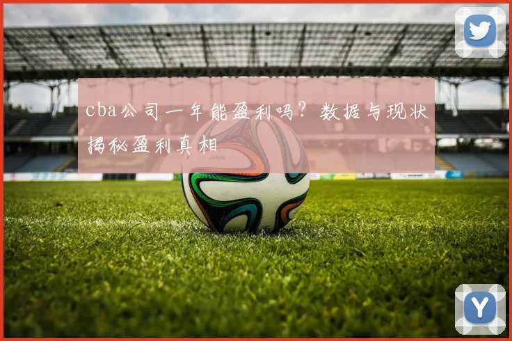 cba公司一年能盈利吗？数据与现状揭秘盈利真相